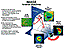 IMAGE science objectives